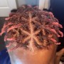 Comb Twist