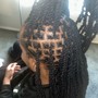 Starter Locs