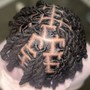 Starter Locs