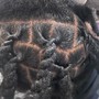 Fulani/Tribal Braids