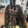 Fulani/Tribal Braids