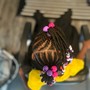 Kid's Braids