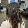 Small Starter Locs