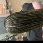 Poetic Justice Braids or Jumbo Twist