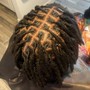 Two Strand Twist