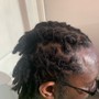 Starter locs two strand