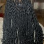 Medium Box Braids