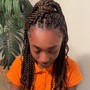 Marley Twists/Passion Twists