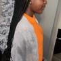 Marley Twists/Passion Twists