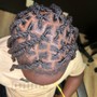 Comb Twist/  + two strand + style