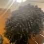 Crochet Braids (Braids or Twists only)