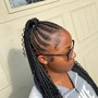 Braided Ponytail