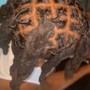 Adult Retwist & Style