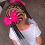 Individual Braids