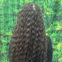 French curl medium size