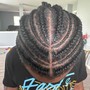 Feed in box Braids medium