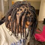 Starter Locs