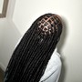 6–8 braids (straight back)