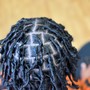 Starter locs/ Coils