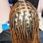 Tree Braids