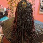 Medium Senegalese Twist