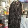 Men’s Braids/Plats/Two Strand Twists