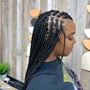 Box Braids midback length smedium