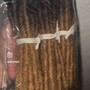 Starter Loc Coils