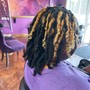 Shampoo Locs (Only)