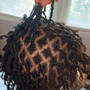 Loc Extensions/Reattachments