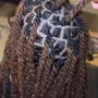 Box Braids