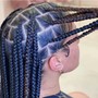 Mens Braids