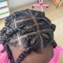 Comb Twist