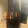 Box Braids