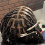 Starter Locs