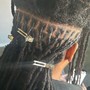 Starter Locs