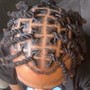 Starter Locs