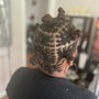 Fulani Braids