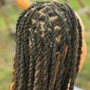 Natural Twists