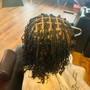 Single Braids or 2 Strand Twists