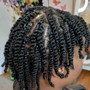 Natural Twists