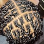 Two Strand Twists