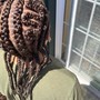 Stitches braids feed