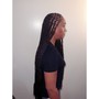 Box Braids