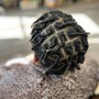 Comb Coil Starter Locs on Short hair