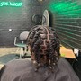 Starter Locs