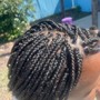 Poetic Justice Braids