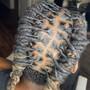 Starter Locs