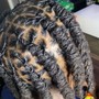 Starter Locs