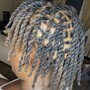 Starter Locs